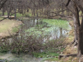 Mill Creek Ranch Owned by Nolan & Pam Veneble