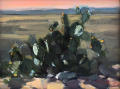 Nancy Tankersley Comp 4 Cactus Sunset