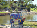 SHEEP ALONG CONCHO River