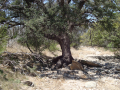 TweedyRanch (35)