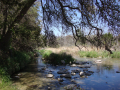 TweedyRanch (41)