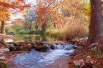 Autumn on Christoval River3